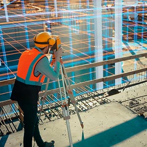 BIM and Digital Twin Management*